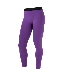 Тайтсы компрессионные Jogel CAMP 2 PerFormDRY Baselayer Tights, фиолетовый P3