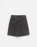 Шорты Anteater BaggyShorts Серый