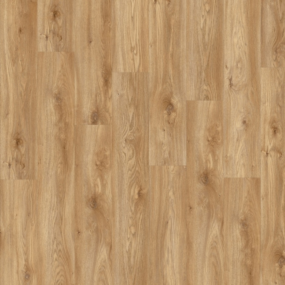 Виниловая плитка Moduleo ROOTS Sierra Oak 58346