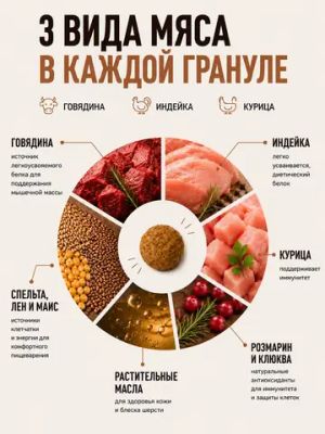 Сухой корм Shelly для взрослых кошек мясное ассорти с ягодами