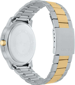 Часы Casio MTP-VD01SG-1B