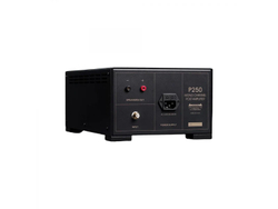 Усилитель для акустики Spotless Audio P250 Monoblock 1 шт