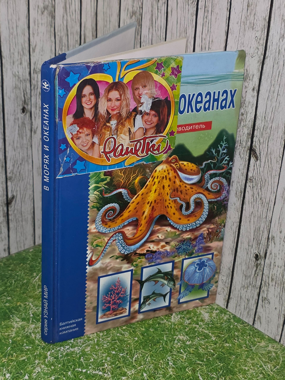 С. Ю. Афонькин. В морях и океанах. Школьный путеводитель