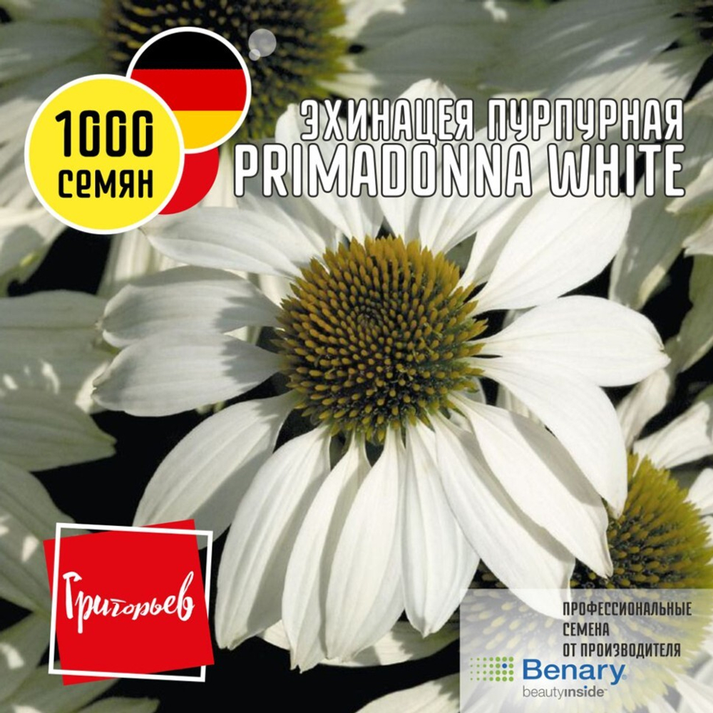 Эхинацея пурпурная Primadonna White