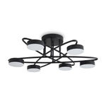 Потолочная светодиодная люстра Freya Vortex FR6155CL-L36B