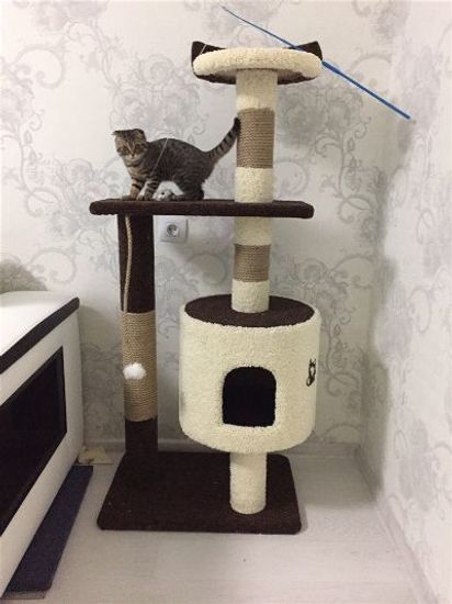 Домик для кота Д-2