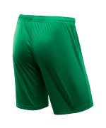 Шорты игровые CAMP Classic Shorts, зеленый/белый