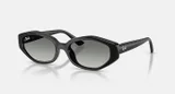 RAY-BAN RB4473D 667711
