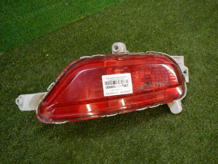 DSCN9114.jpg