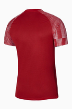 Футболка Nike Dri-FIT Academy Junior