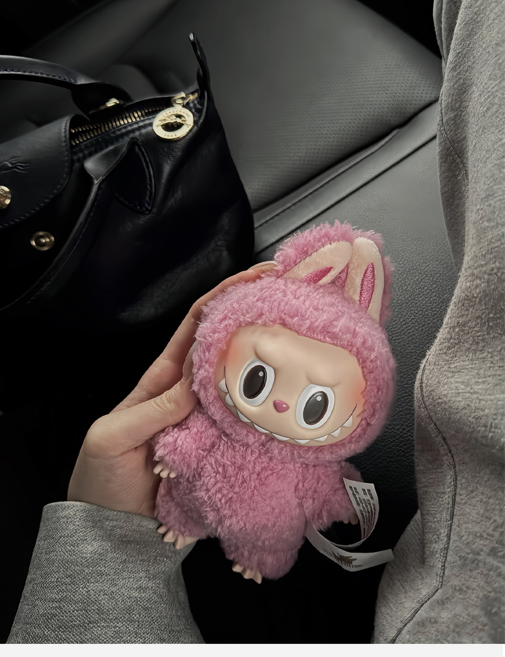 Pop Mart Labubu The Monsters Charm Doll "Lychee Berry" (PPMT 2310 0069)
