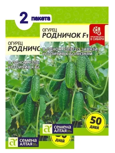 Семена Огурец Родничок F1