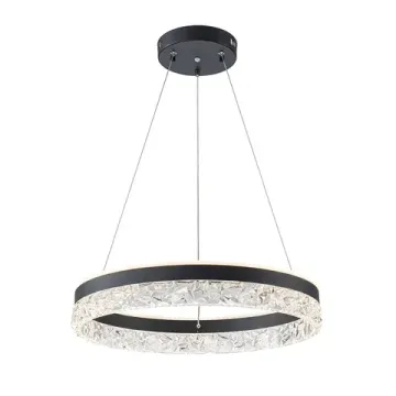 Подвесная люстра 75W 3000K-6000K A2549SP-75BK черный APOLLO Arte Lamp
