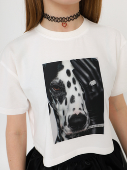 Футболка укороченная, DOG