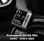 Карта памяти Lexar SDXC 1TB Professional Silver PRO UHS-II U3 V60 (280/160 MB/s)