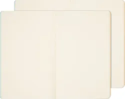 Блокнот Moleskine LE CAHIER MUSEE D`ORSAY Large (SKCAHL6911S3NL) 2