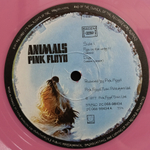Pink Floyd / Animals (Limited Edition)(Coloured Vinyl)(LP)