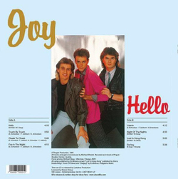 Виниловая пластинка Joy Hello