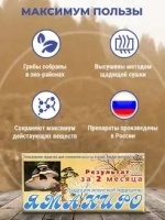 Комплекс грибной "ЯМАКИРО", для снижения веса и очищения печени (МЕЙТАКЕ, ТРУТОВИК, ШИИТАКЕ)