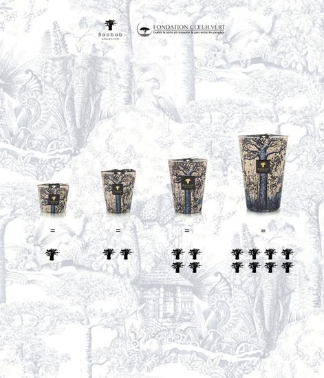 Seguela, свеча MAX 16 Sacred Trees collection, Baobab Collection