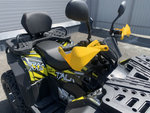 Квадроцикл PROMAX TAURUS 300 MAX-PRO