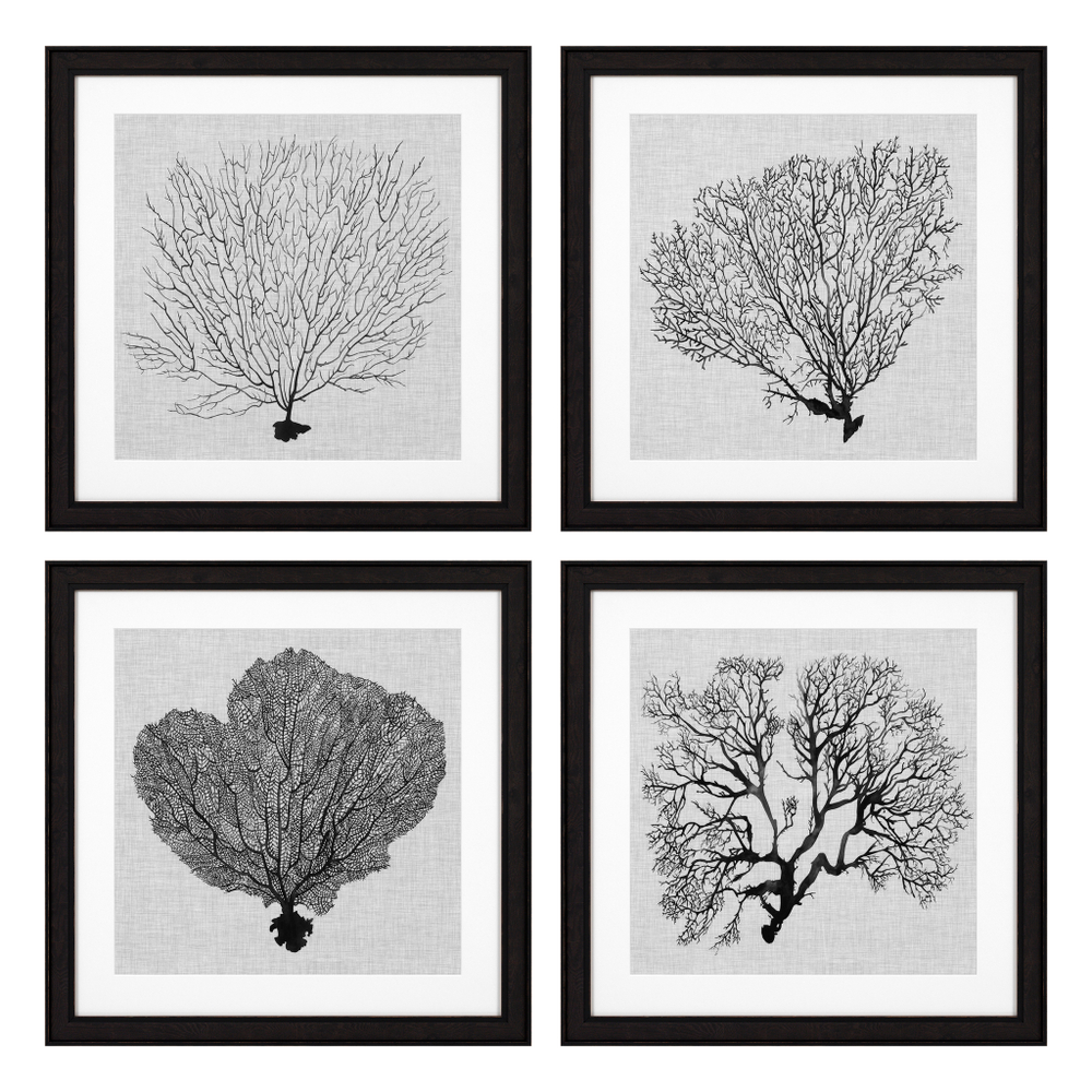 ПостерPrints Shadow Sea Fans set of 4 арт.112752