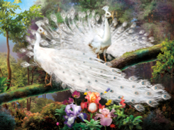 Коллекция Paradise