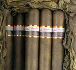 Nestor Miranda Special Selection Rosado Coffee Break