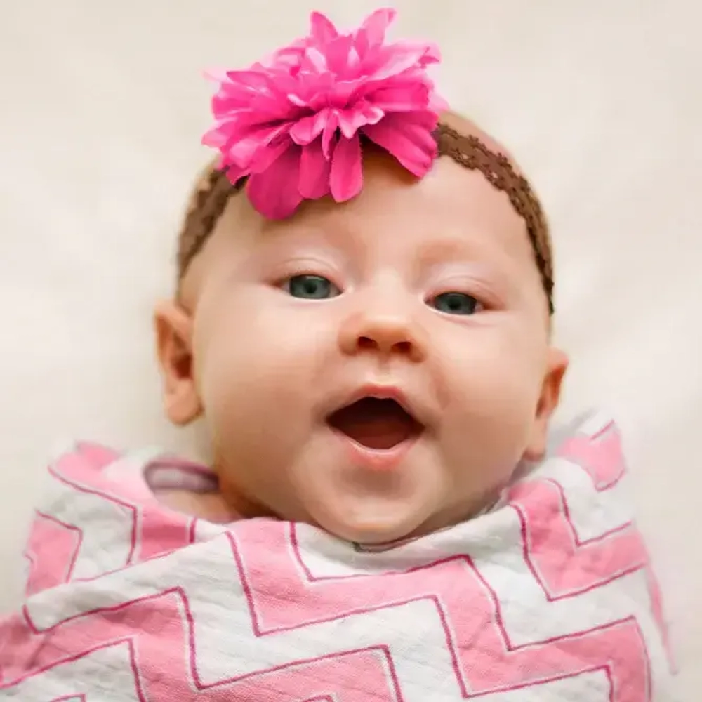 SwaddleDesigns SD-162P-450P Набор пеленок SwaddleDuo - Mama & Baby Chickies + Chevron, Pink