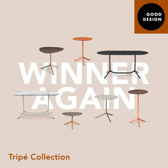 Tripe Double Folding