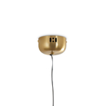 Подвесной светильник Borbon FR5442PL-L11B, LED. TM Maytoni