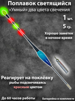 Поплавок для ночной рыбалки умный светящийся реагирует на поклевку 5гр