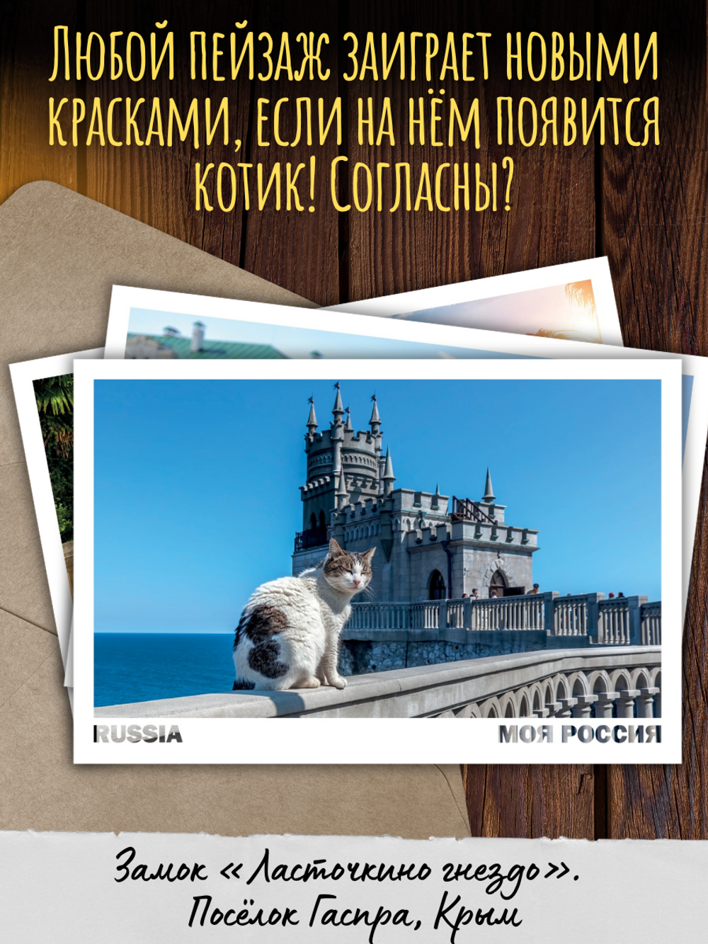 Моя Россия. Коты
