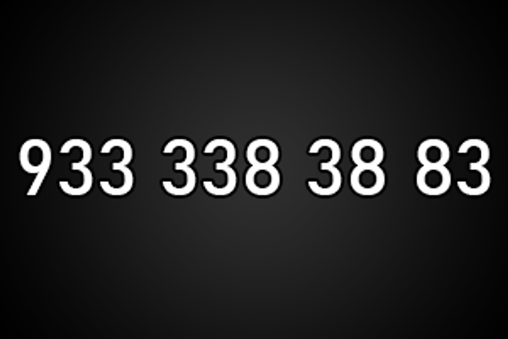 9333383883