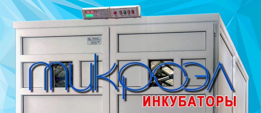 Инкубаторы для яиц