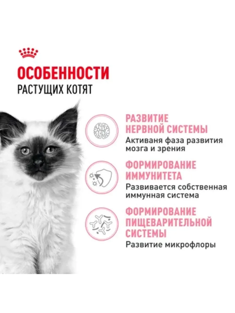 Kitten Корм для котят до 12 месяцев 1,2кг