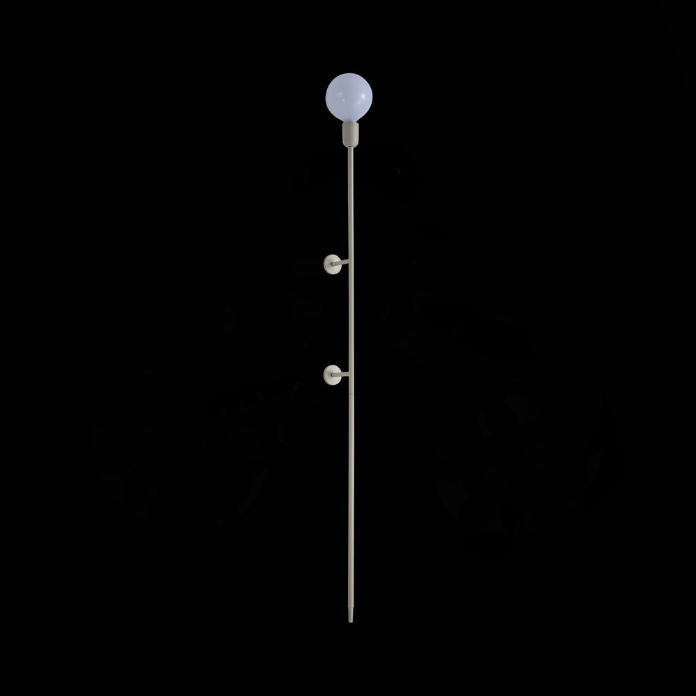 Светильник настенный ST Luce Gante SL1015.401.01