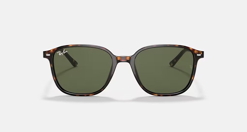 RAY-BAN LEONARD RB2193 902/31