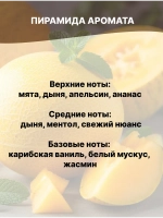 Отдушка Дыня и мята 50 гр