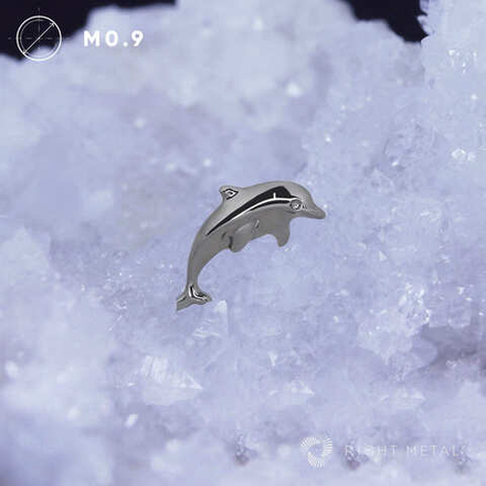 Dolphin