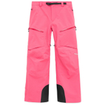 Штаны для сноуборда Dimito VTX OG 2L Pants