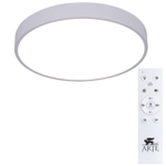 Потолочный светодиодный светильник Arte Lamp ARENA A2661PL-1WH