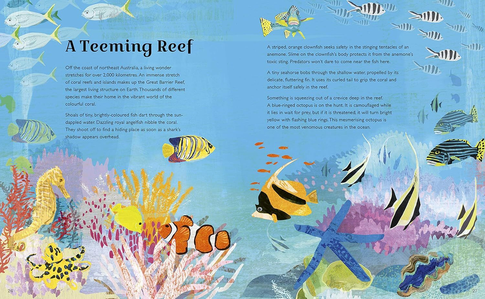The Deep Blue (World of Wonder) Hardcover