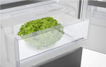 Отдельностоящий двухкамерный холодильник Gorenje RK 61 FSY2W