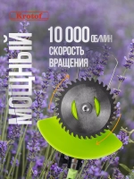 Триммер аккумуляторный с двумя аккумуляторами CBC03