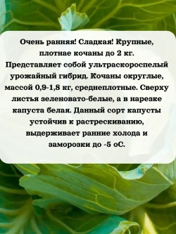 Семена капусты набор 3 шт (Гарант,Трансфер,Валентина)