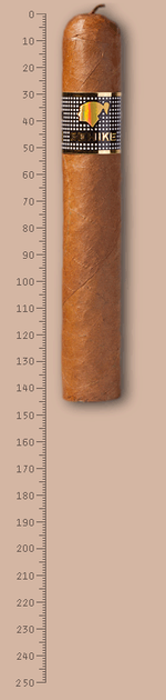 Cohiba Behike 54