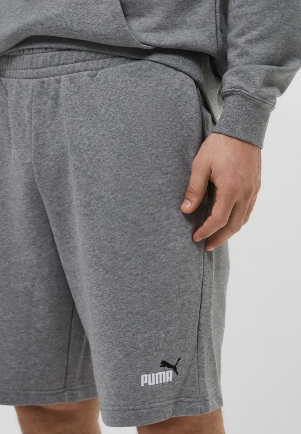 Шорты спортивные мужские PUMA ESS 2 COLOR No. 1 Logo Shorts 10" TR