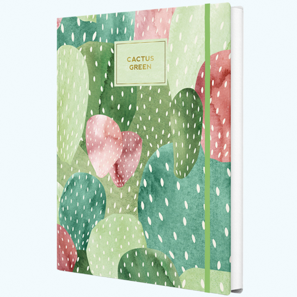 Блокнот "Cactus" А5 96 листов книжный переплет, сшивка