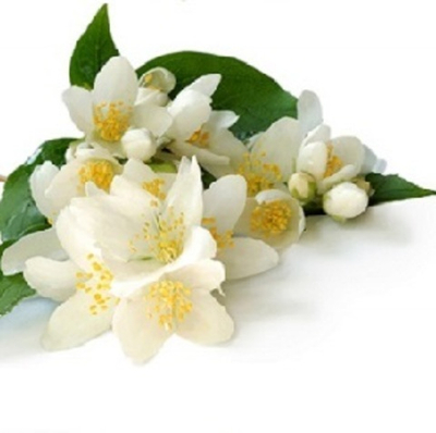 ГЕДИОН® (HEDIONE® Firmenich)